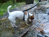 /album/vselico1/p1010126-jpg/