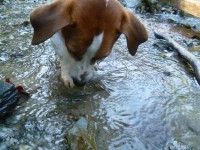 /album/vselico1/p1010124-jpg/