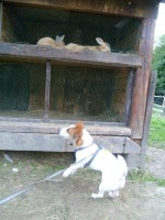 /album/vselico1/p1010184-jpg/