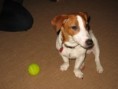 /album/fotogaleria-aportovanie/img-0055-jpg1/